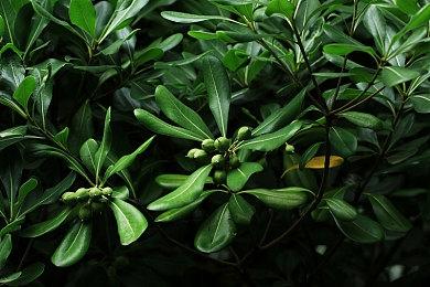 新销售里程碑 《皇牌空战7：未知空域》全球销量突破500万